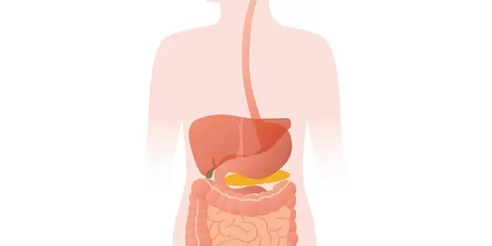 argon plasma coagulation (apc) procedure in mumbai